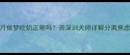 比熊幼犬3个月做梦吃奶正常吗资深训犬师详解分离焦虑与护理要点