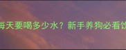 1个月大幼犬每天要喝多少水新手养狗必看饮水全攻略