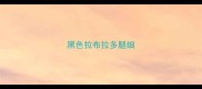 黑色拉布拉多腿细