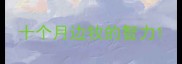 十个月边牧的智力
