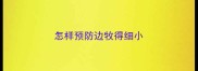 怎样预防边牧得细小