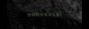 宠物狗专用沐浴露