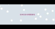 拉布拉多长眼屎掉毛