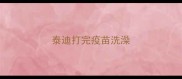 泰迪打完疫苗洗澡