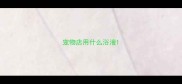 宠物店用什么浴液
