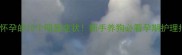 狗狗怀孕的10个明显症状新手养狗必看孕期护理指南