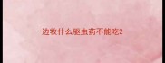 边牧什么驱虫药不能吃