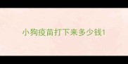 小狗疫苗打下来多少钱