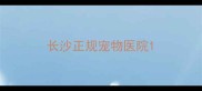 长沙正规宠物医院