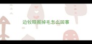 边牧眼圈掉毛怎么回事
