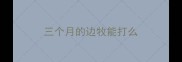 三个月的边牧能打么