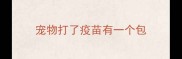 宠物打了疫苗有一个包