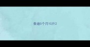 泰迪5个月10斤