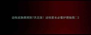 边牧皮肤病预防7天见效边牧家长必看护理指南