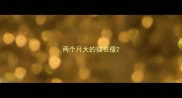 两个月大的猫很瘦