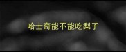 哈士奇能不能吃梨子