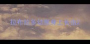 拉布拉多幼崽身上长虫
