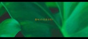 英牛3个月多少斤