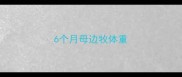 6个月母边牧体重