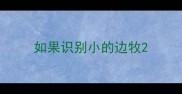 如果识别小的边牧
