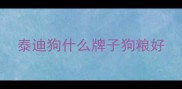 泰迪狗什么牌子狗粮好