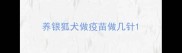 养银狐犬做疫苗做几针