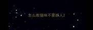 怎么教猫咪不要抓人