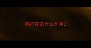 狗打疫苗什么作用