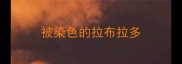 被染色的拉布拉多