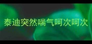泰迪突然喘气呵次呵次