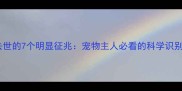 猫咪去世的7个明显征兆宠物主人必看的科学识别指南