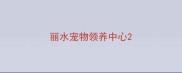 丽水宠物领养中心