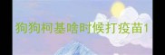 狗狗柯基啥时候打疫苗