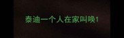 泰迪一个人在家叫唤
