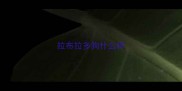 拉布拉多狗什么样
