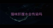 猫咪肝腹水会传染吗