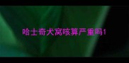 哈士奇犬窝咳算严重吗