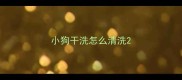 小狗干洗怎么清洗