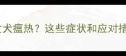 狗狗打疫苗后突发犬瘟热这些症状和应对措施你需要知道