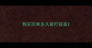 狗买回来多久能打疫苗
