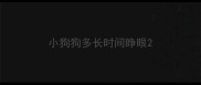 小狗狗多长时间睁眼