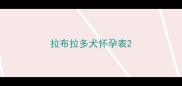 拉布拉多犬怀孕表