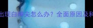 拉布拉多犬出现白脚尖怎么办全面原因及科学护理指南