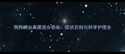 狗狗螨虫真菌混合感染症状识别与科学护理全