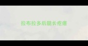 拉布拉多后腿长疙瘩