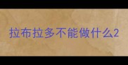 拉布拉多不能做什么