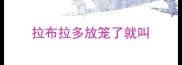 拉布拉多放笼了就叫