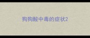狗狗酸中毒的症状