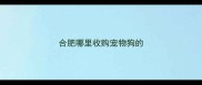 合肥哪里收购宠物狗的