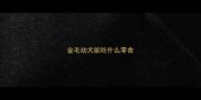金毛幼犬能吃什么零食